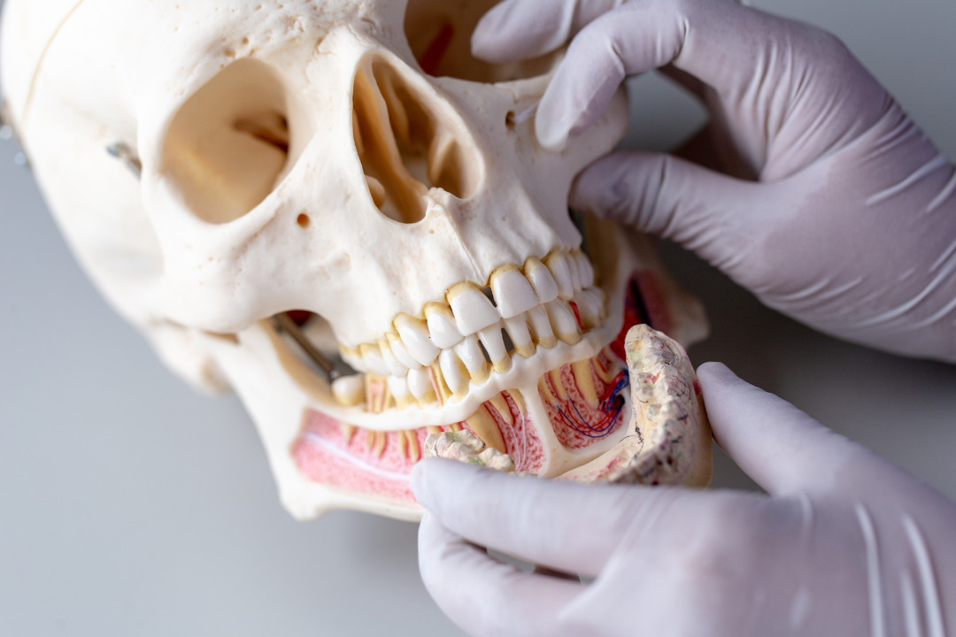 malocclusione dentale e postura